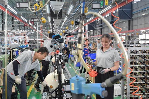 灣區(qū)媒體貴港行 走訪華南最大內(nèi)河港口,探秘電動(dòng)車(chē)智能工廠